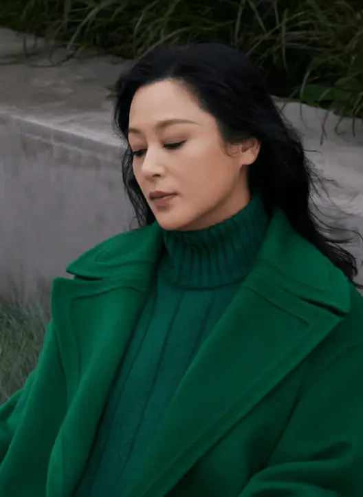 最美女明星图片大全图片_港圈顶级美女_台湾女神颜值